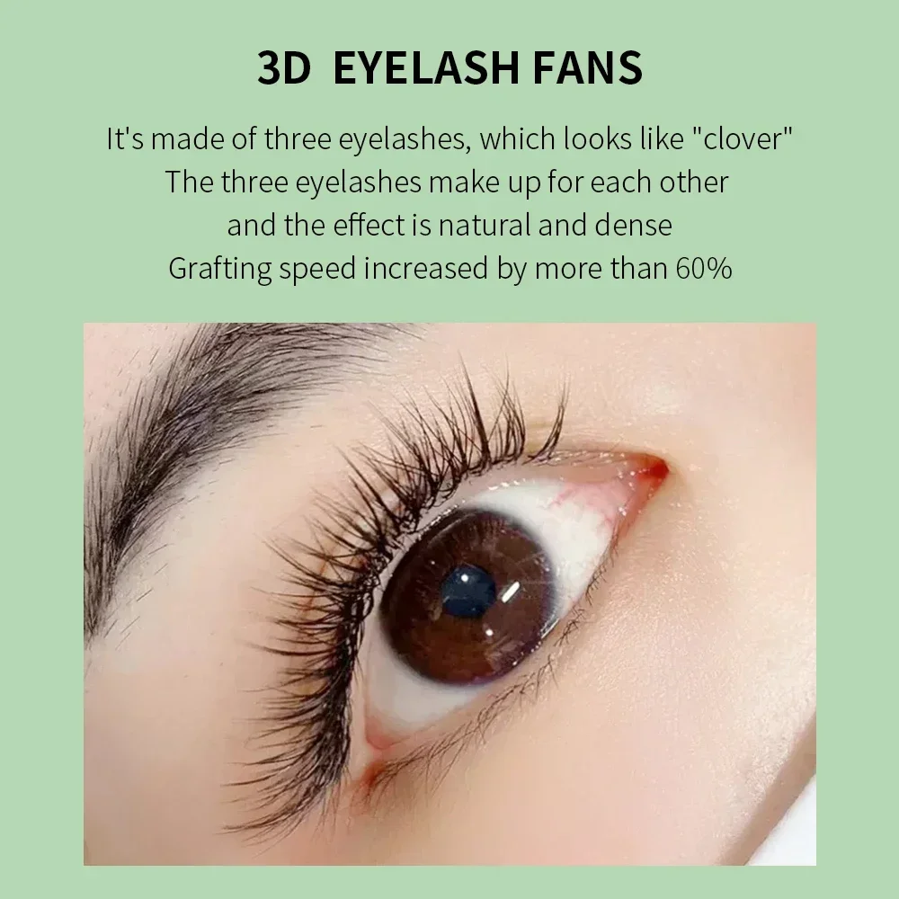 GLAMLASH 3D W Three-Core Shape - Eyelash Extension Fan 评论和价格