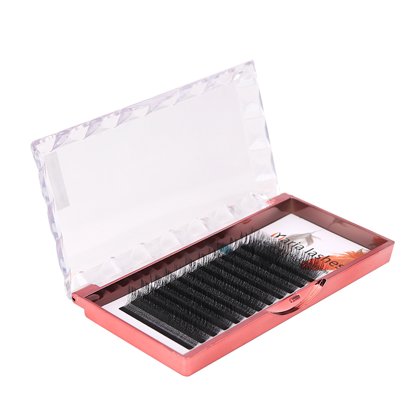 MARIA 10 Cases 4D W Shaped Bea - Eyelash Extension Fan 评论和价格