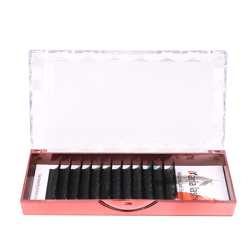 MARIA 10 Cases 4D W Shaped Bea - Eyelash Extension Fan 评论和价格
